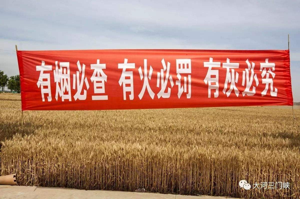 國(guó)家禁燒宣傳標(biāo)語