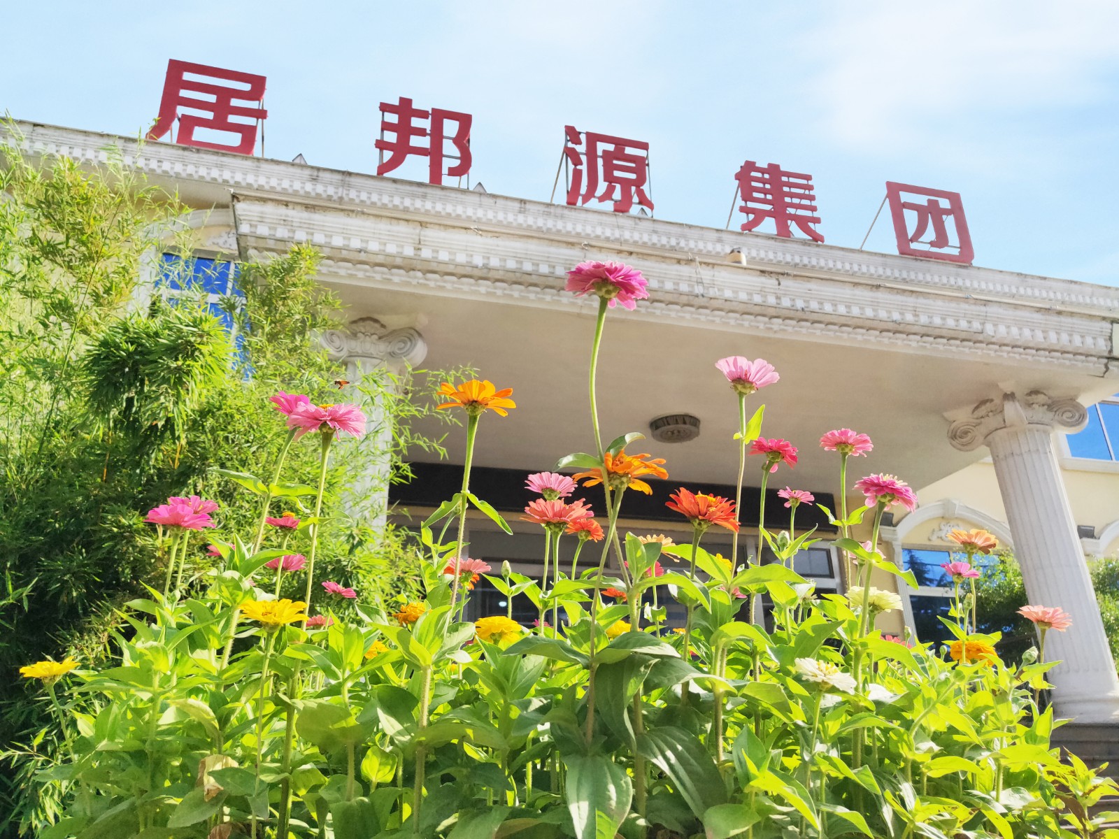 金格瑞顆粒機(jī)廠家