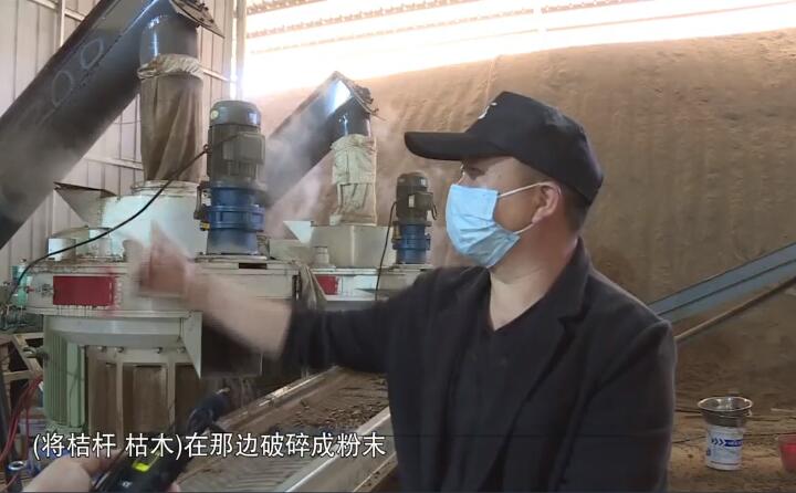 將桔桿、枯木在那邊破碎成粉末，然后經(jīng)過這兩個造粒機的碾壓，形成這種顆粒燃料出來，形成最后的產(chǎn)品.jpg