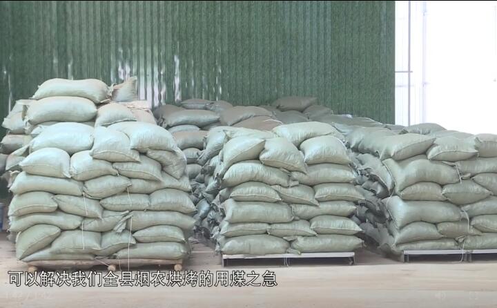 造粒機生產(chǎn)下來的生物質(zhì)燃料顆粒，可以解決全縣煙農(nóng)烘烤的用煤之急，用它替代煤來烤煙，可以解決2萬畝烤煙的烘烤燃料.jpg